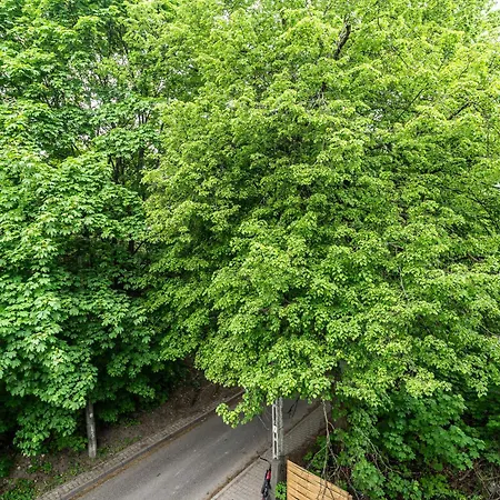 Apartament Rentplanet - Lanckorońska *